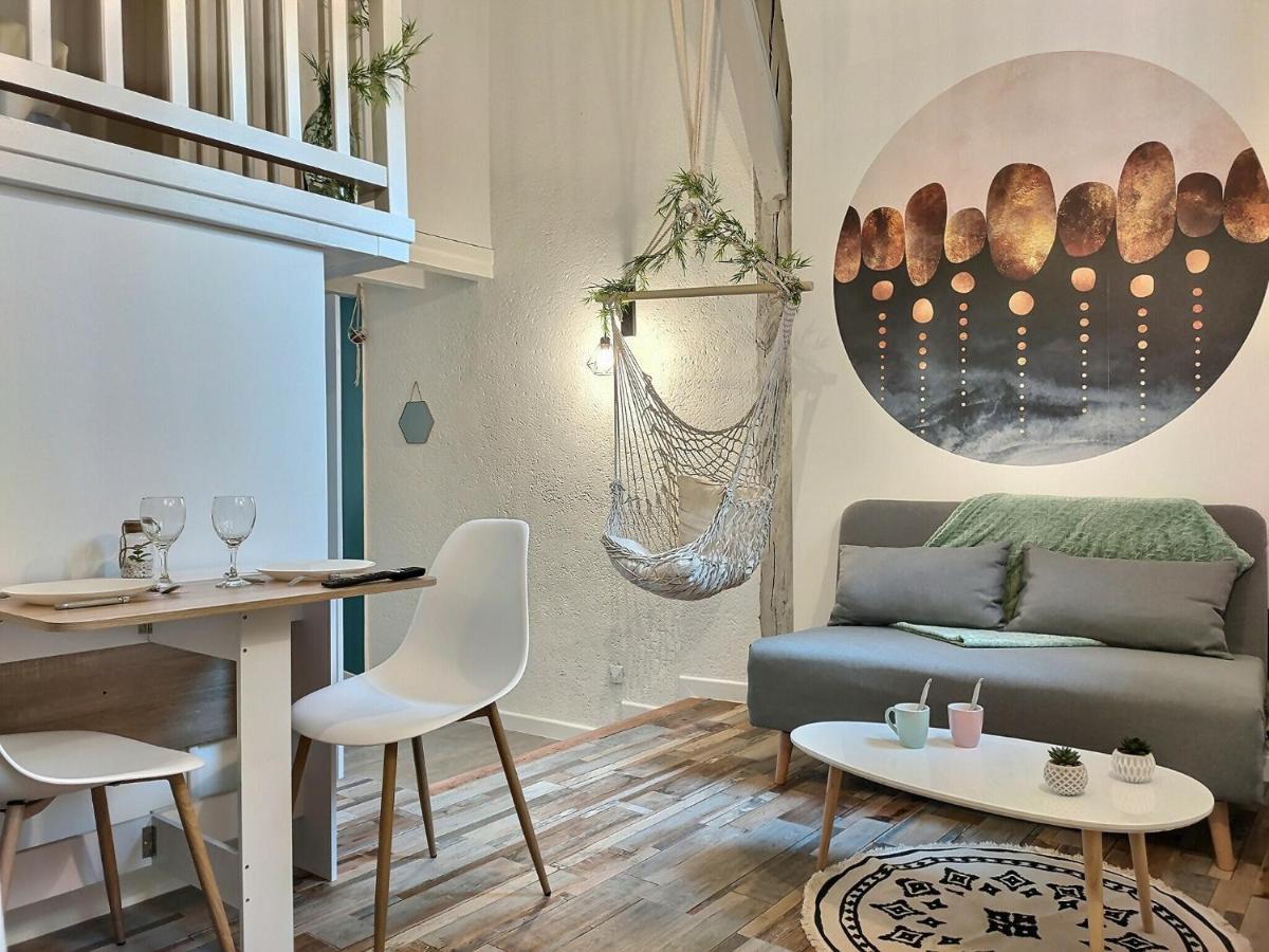 Le Temps Suspendu - Au Coeur D'Albi Apartment Exterior foto